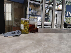 Bar Perina