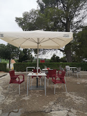 Bar piscina Alcublas 2.0