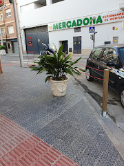 Bar Rte El Caribe