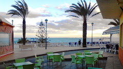 Bar Willy. Restaurante