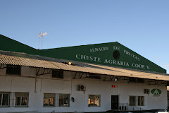 Cheste Agraria Coop. V. | Sección Hortofrutícola | Oficinas Centrales