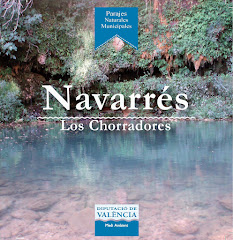 PNM Los Chorradores (Navarrés)