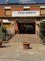 Viejo Muelas